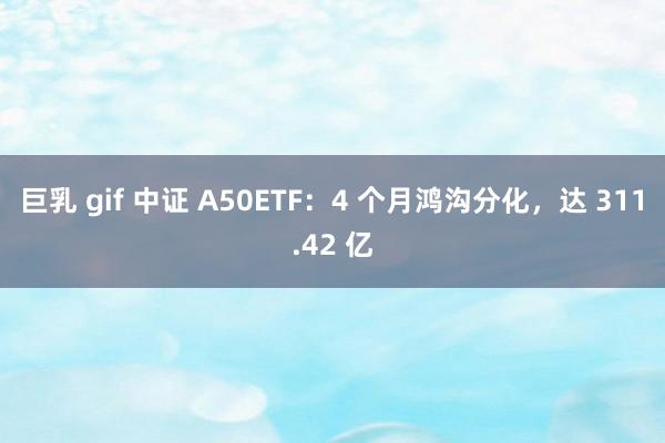 巨乳 gif 中证 A50ETF:4 个月鸿沟分化,达 311.42 亿