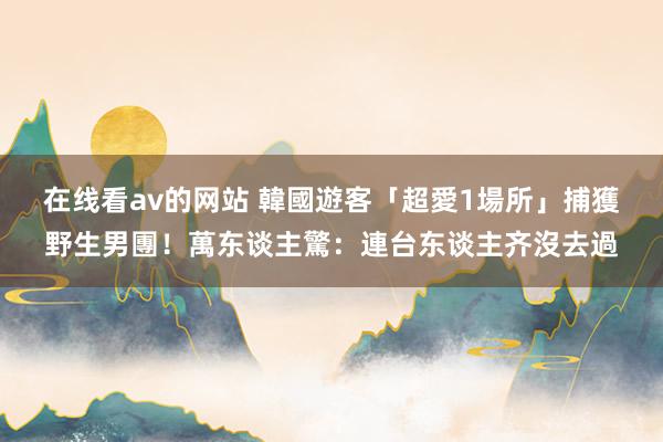 在线看av的网站 韓國遊客「超愛1場所」　捕獲野生男團！萬东谈主驚：連台东谈主齐沒去過